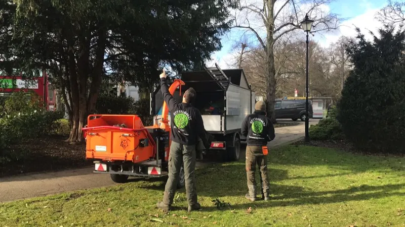 Liam McGough Tree Services