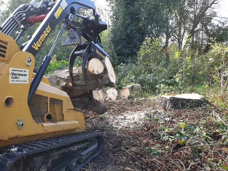 South London Tree Surgeons Ltd