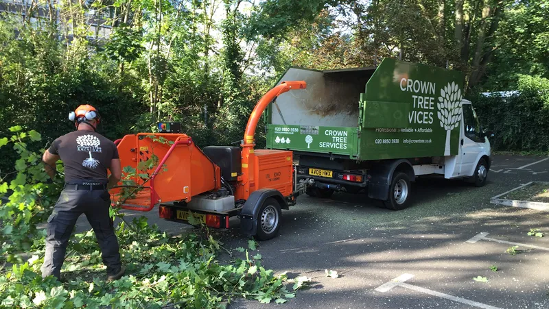 Crown Tree Surgeons ltd