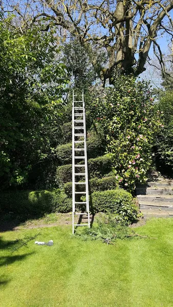 Edgbaston Tree Services