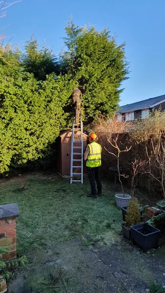 Liverpool Tree Surgeons