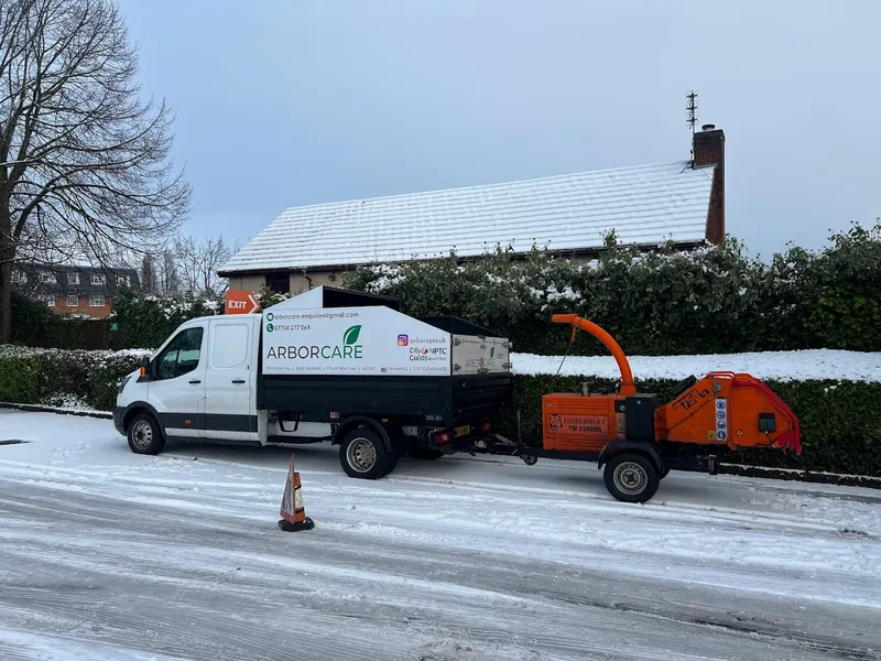 Arborcare Tree Services Ltd