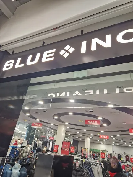 Blue Inc