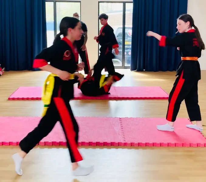 Paul Treacy’s Academy of martial arts