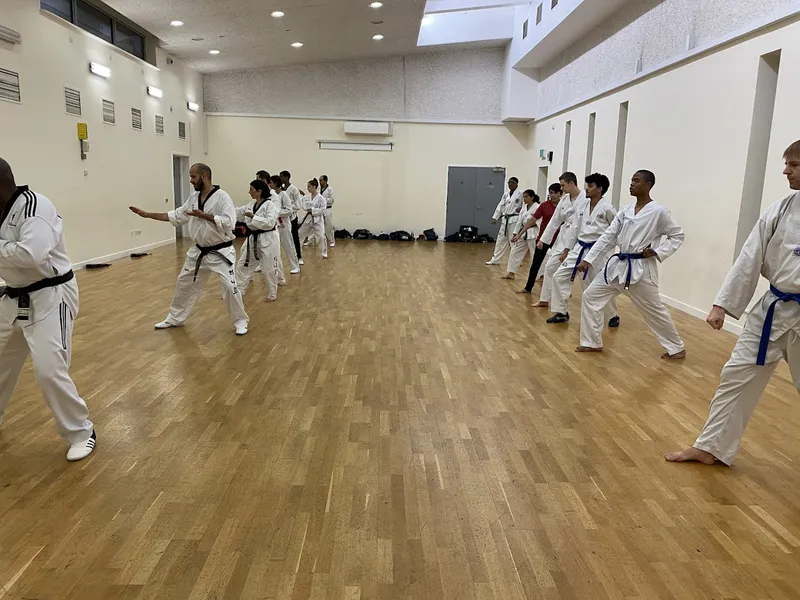 Hanaro Taekwondo Academy