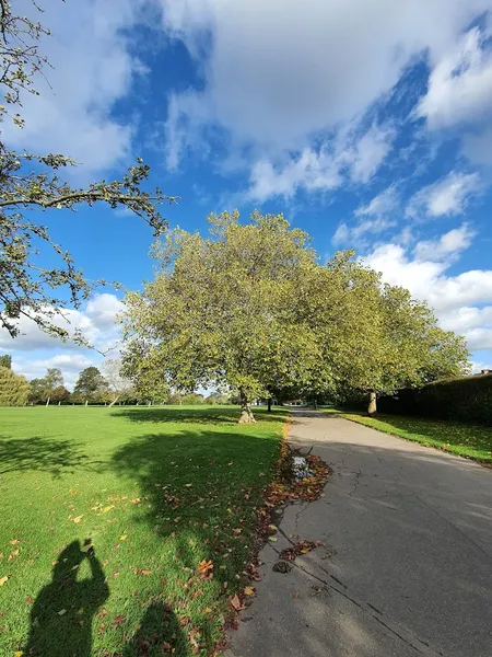 Hylands Park Play Area