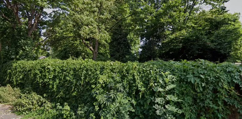 Wandle Park Playground