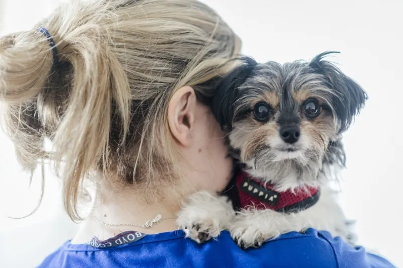 Blue Cross animal hospital, Merton