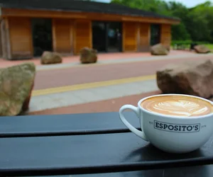 vegetarian restaurants in Halton Lea Halton