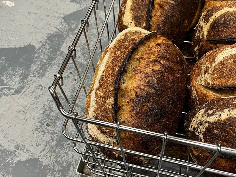 Northern Rye
