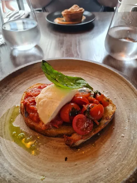 Gaucho Newcastle