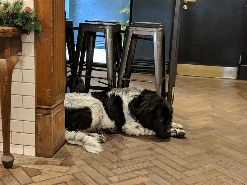 The Bay Horse Tavern