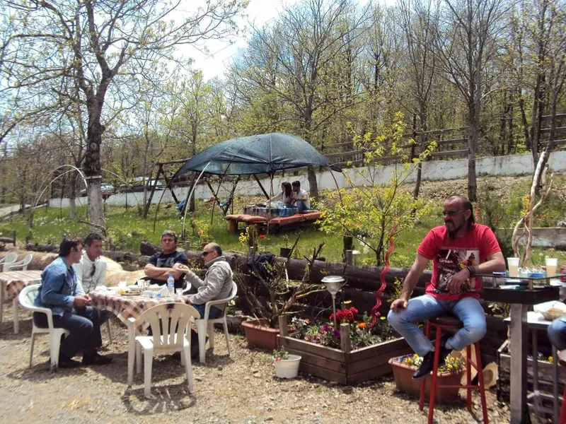 Canteen Ofidis Elatochori