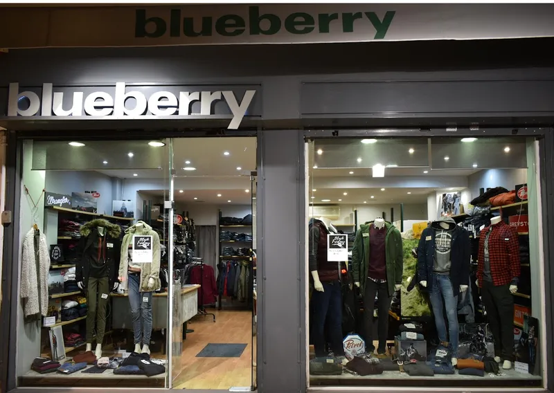 blueberry store