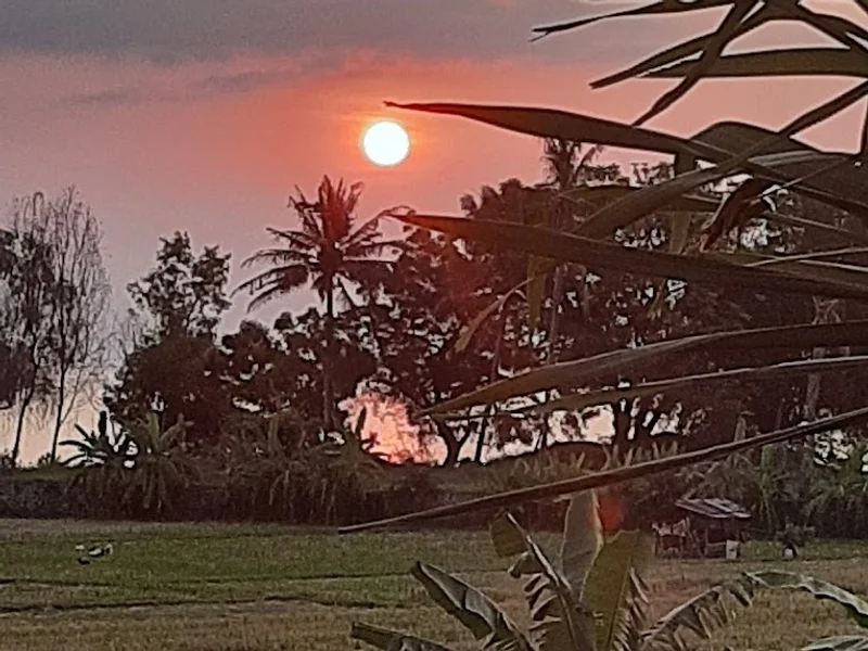 Bali Paradise Hotel - Boutique Resort