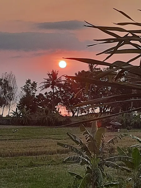 Bali Paradise Hotel - Boutique Resort