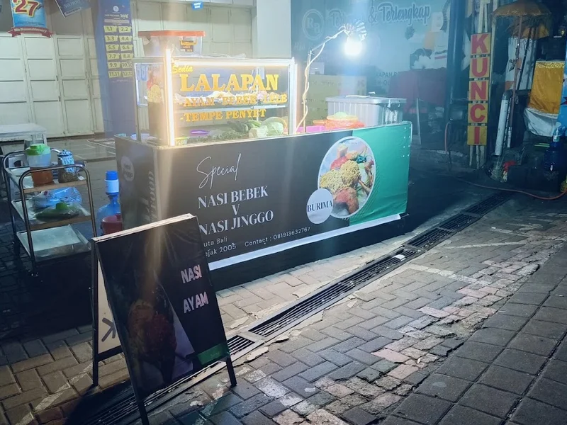 NASI BEBEK MAHARANI ( cabang nasi bebek burima )