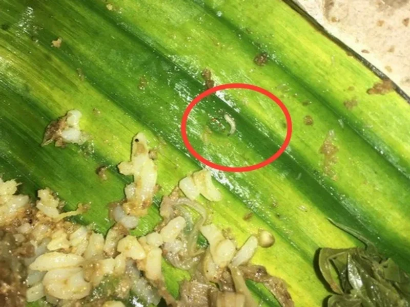 Wr. Padang Pariaman Uni Ely