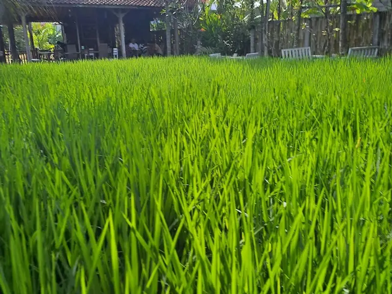 Warung Mogan Vegetarian