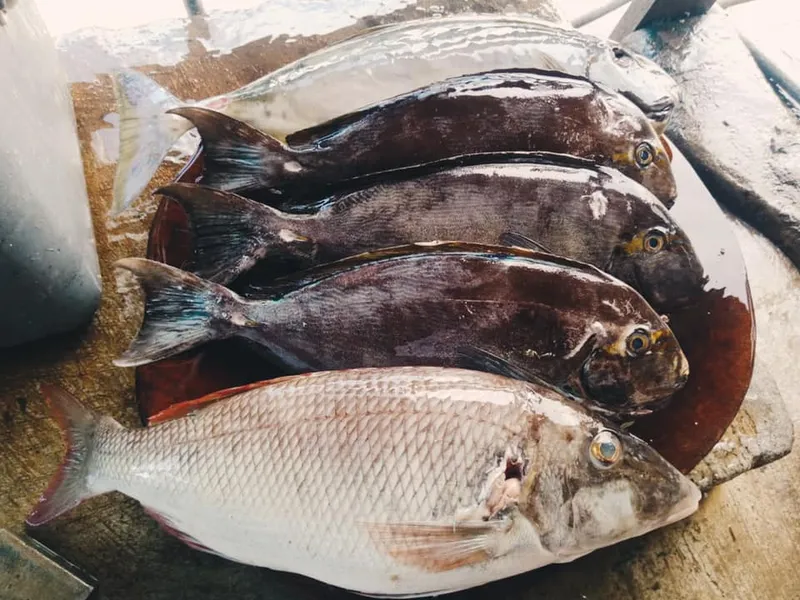 Warung PP Ikan Bakar