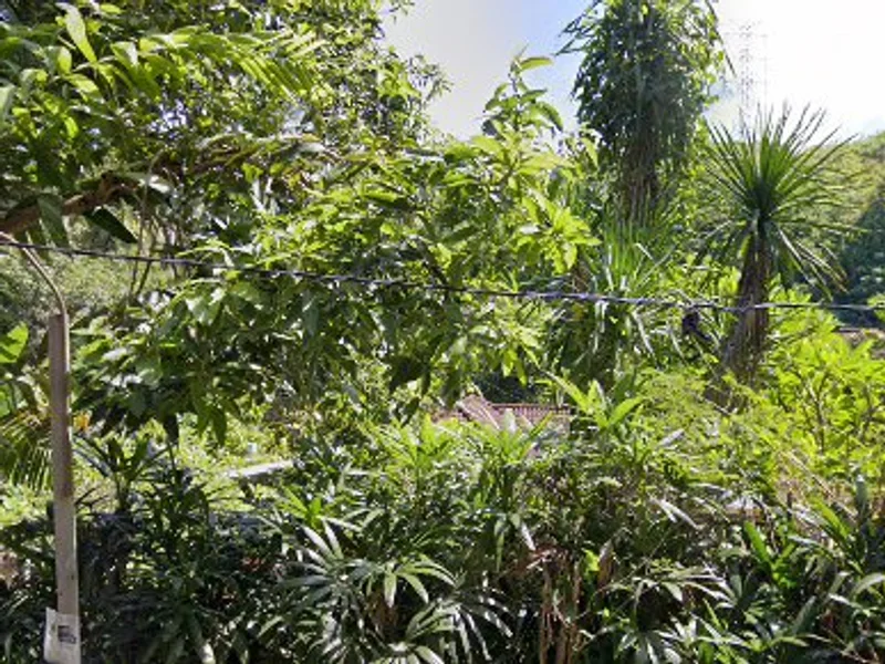 Betutu Panggang Singaraja