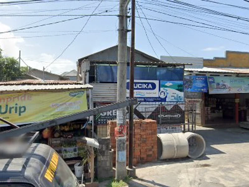 Sup Ikan Serangan