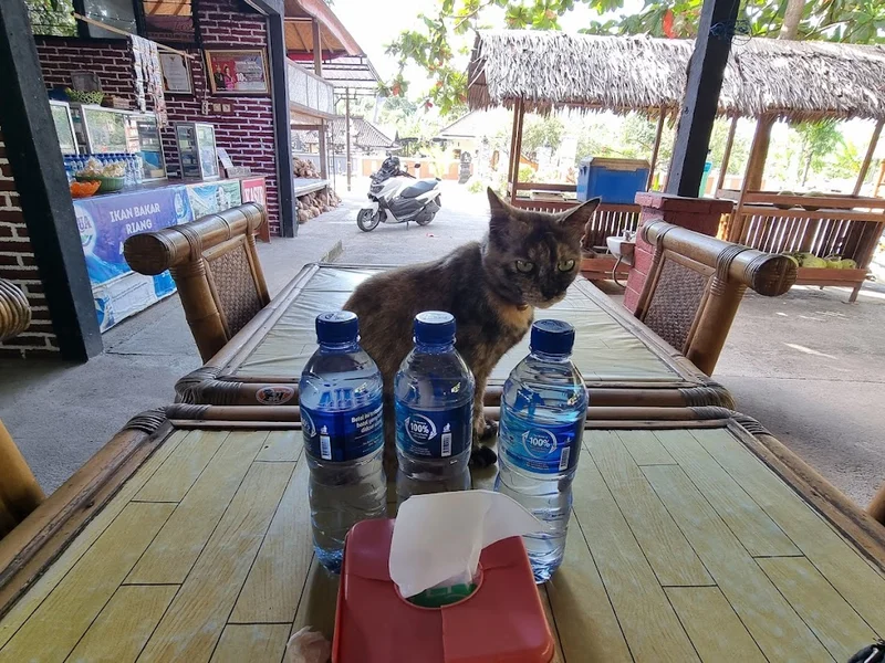 Betutu Ayam Kampung Bu Eka