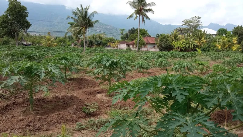 Sanggalangit gerokgak buleleng bali
