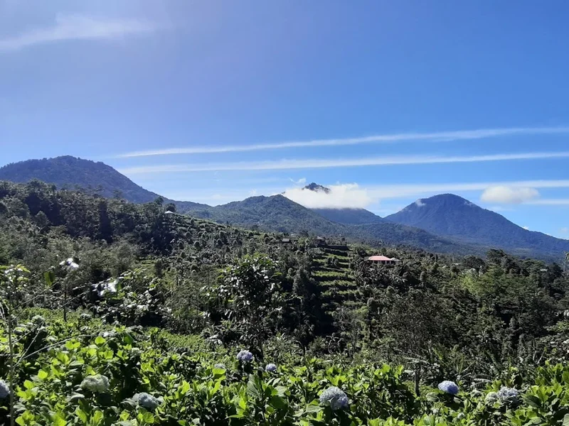 Camaradvipa Retreat Munduk