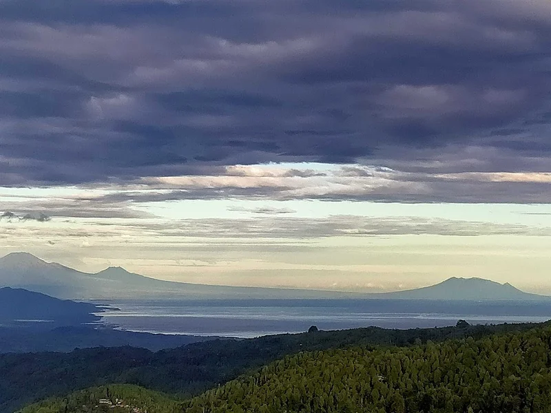 Adila Warung and homestay