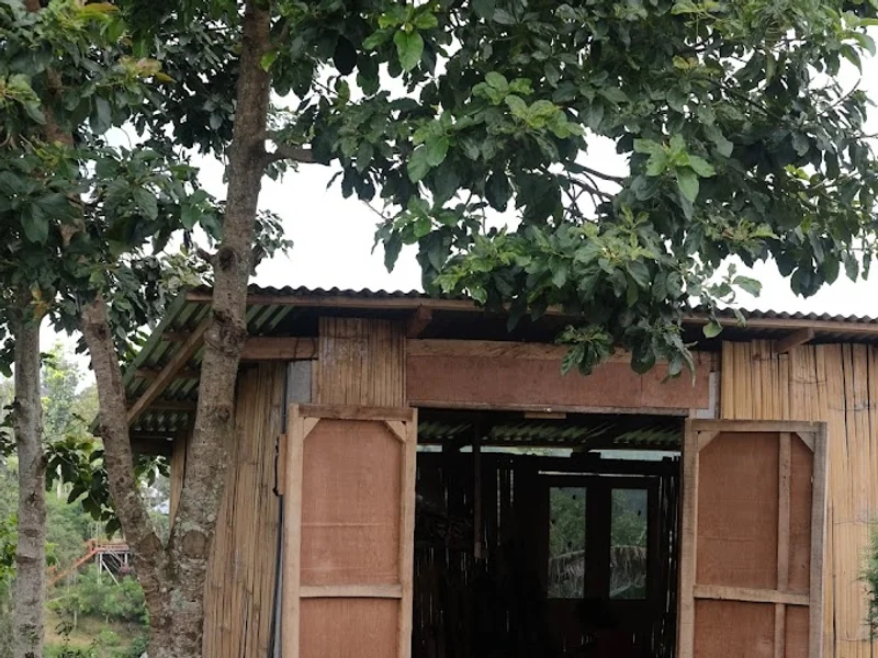 Bedugul luwak coffee