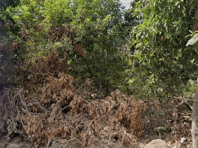 WARUNG MAKAN "MAY LIN"