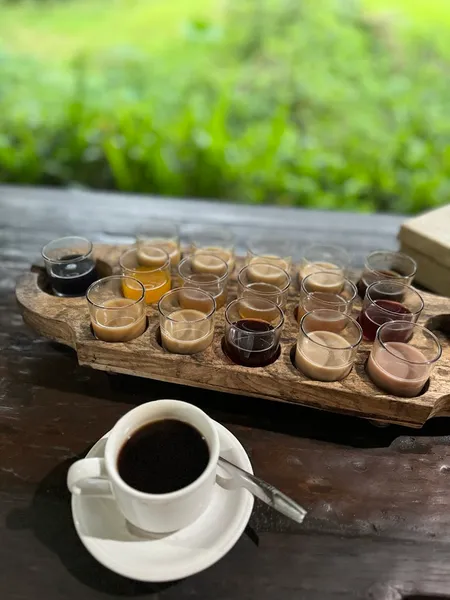 Intan sari luwak dan kebun kopi