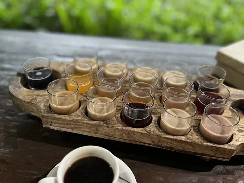 Intan sari luwak dan kebun kopi