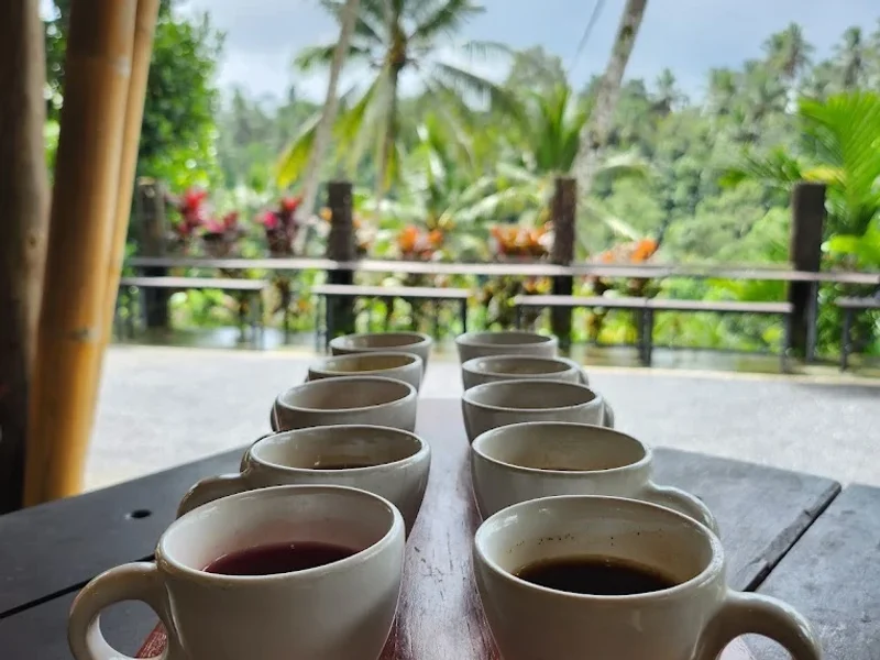 Uma Pakel Agro Tourism & swing