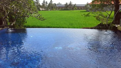 Daftar 12 hotel dengan kolam renang di Ubud Gianyar