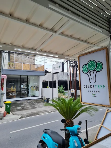 Sauce Tree Kuta Plant Based