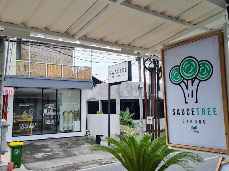 Sauce Tree Kuta Plant Based