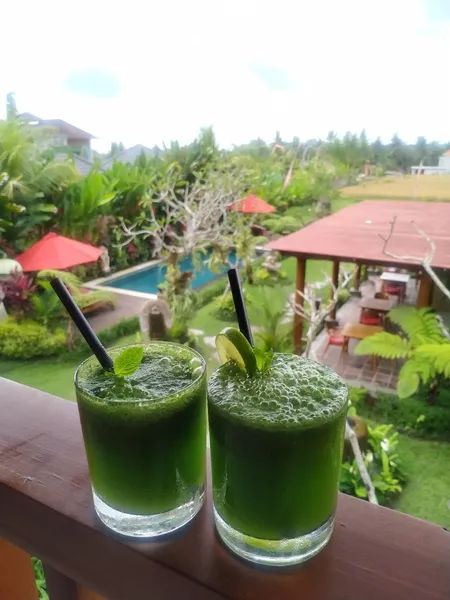 The Runik Ubud