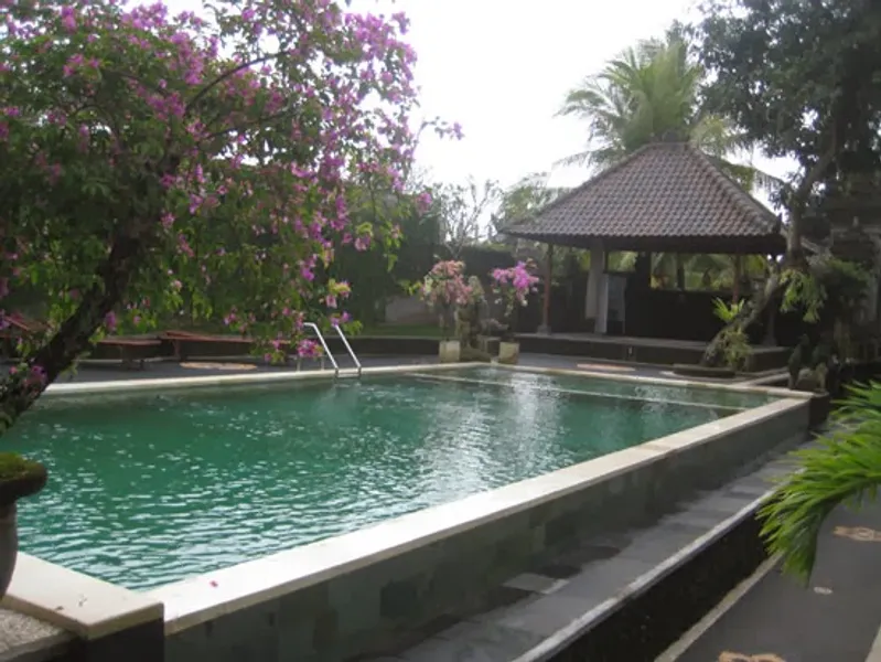 Ubud View Bungalows