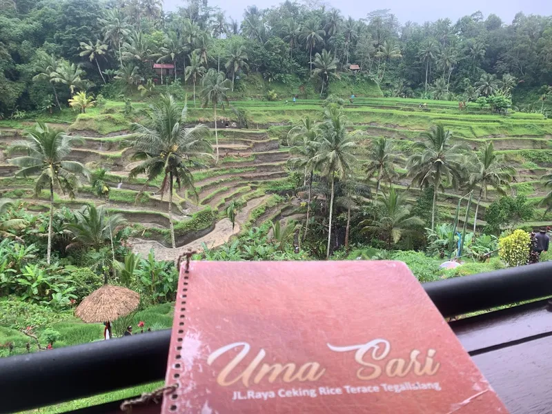 Uma sari rice terrace