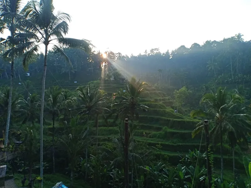 Rumah Makan Loji Ceking