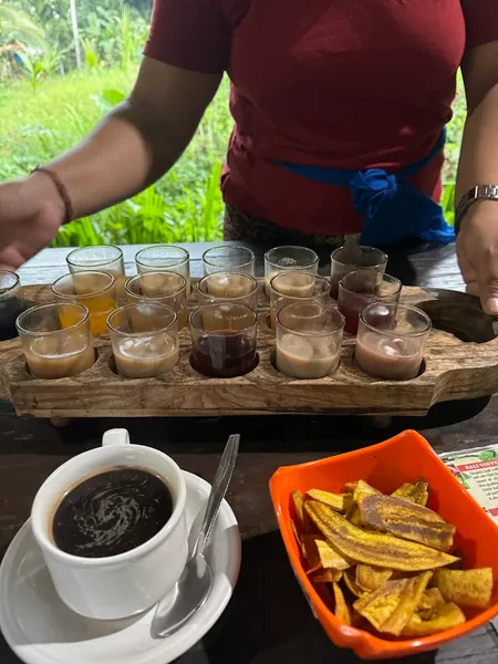 Intan sari luwak dan kebun kopi