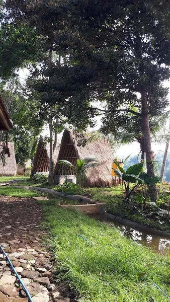 D'Pondok warung ceking rice terrace