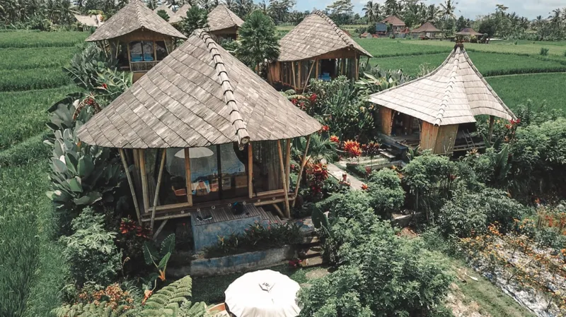 Padi Bali Eco Villas