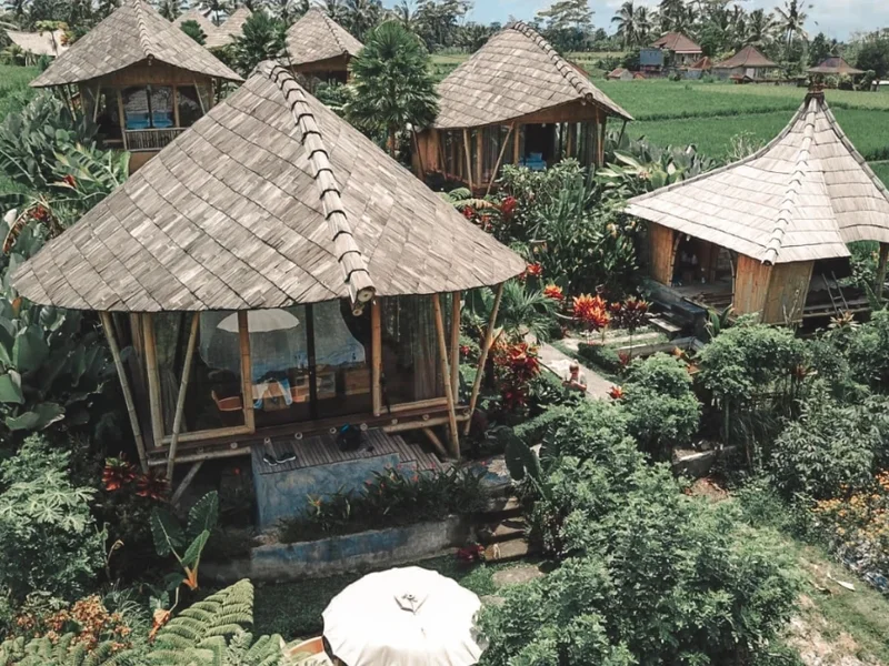 Padi Bali Eco Villas