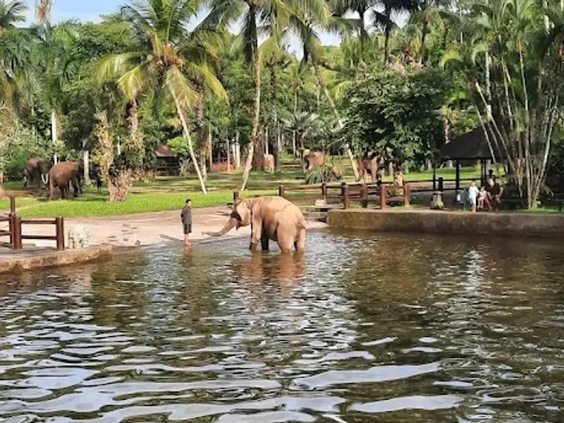 Mason Elephant Park & Lodge