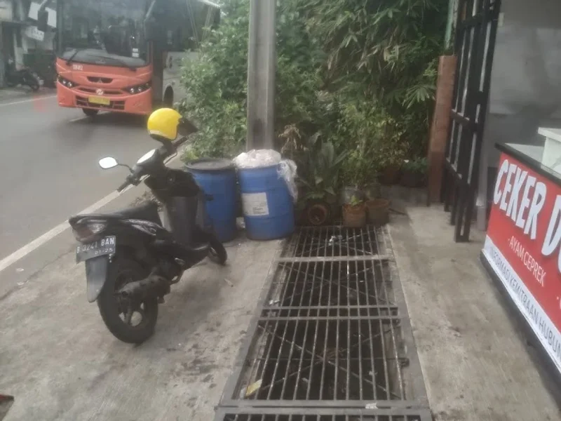 Ceker Dower 77 Penggilingan