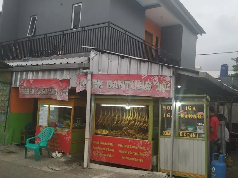Bebek Gantung 10 BKT