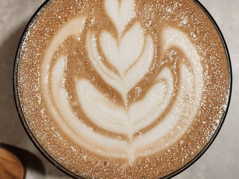 Croco by Monsieur Spoon Amboja